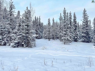 L10 B13 Kimball St, Delta Junction, AK 99737