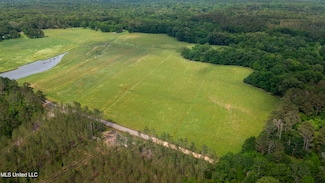 00 Henry Place Rd, Benton, MS 39039