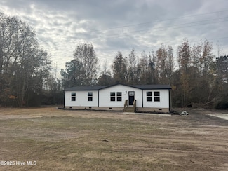 2550 Big Piney Grove Rd, Clinton, NC 28328