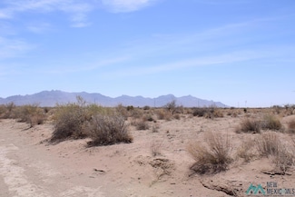 0 Yucca Rd SW Unit 20222846, Deming, NM 88030