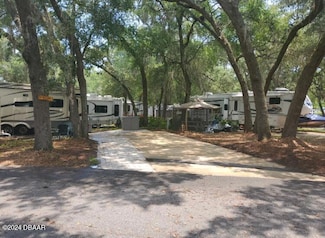 25160 NE 140th Lot 238 Loop, Salt Springs, FL 32134