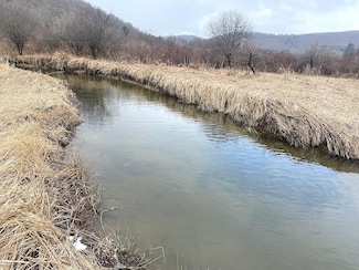 0 County Road 38 Unit 23089203, Alma, NY 14708
