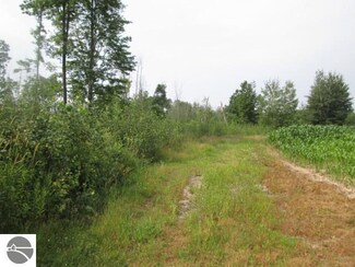 0 Clark Road 40 Acres Clark Rd Unit 1847366, Prescott, MI 48756