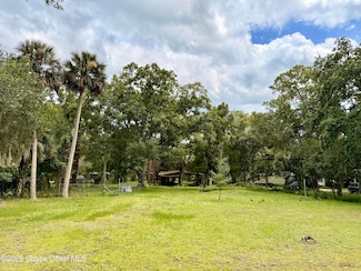 25302 Mathew St, Christmas, FL 32709