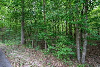 Lot 37 Fox Run Dr, Malvern, AR 72104