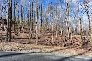 0 Sleepy Hollow Rd Unit 407003, Ellijay, GA 30536