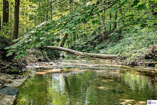14899 Hodgenville Rd, Mount Sherman, KY 42764