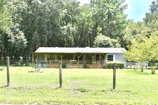 15650 NE 46th St, Williston, FL 32696