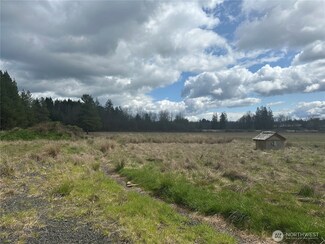 0 Nicholson Rd Unit NWM2358225, Ethel, WA 98542
