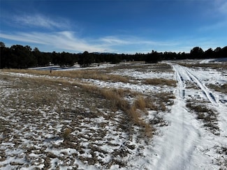 0 35th Trail, Cotopaxi, CO 81223