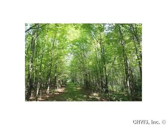 000 Third Rd, Croghan, NY 13327