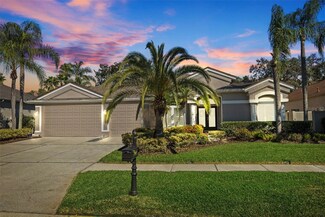 11927 Middlebury Dr, Tampa, FL 33626