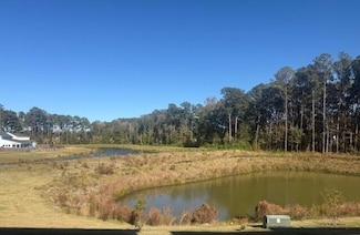 418 Great Egret, Summerville, SC 29486