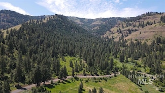 TBD Saddle Ridge Rd, White Bird, ID 83554