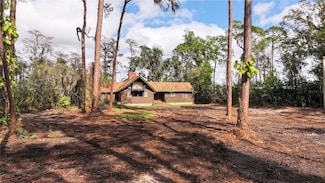 10433 Trout Rd, Orlando, FL 32836