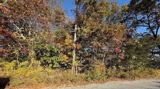 48 Newton Blvd, Ronkonkoma, NY 11779