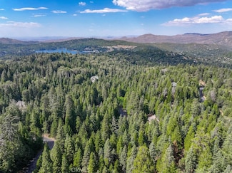 29183 Pigeon Hawk Ln, Lake Arrowhead, CA 92352