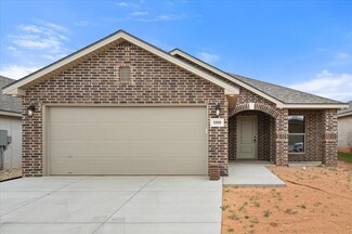 3209 Cottonwood Ave, Wolfforth, TX 79382