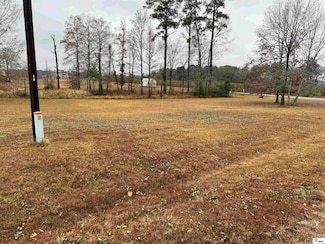 000 Airport Loop, Homer, LA 71040