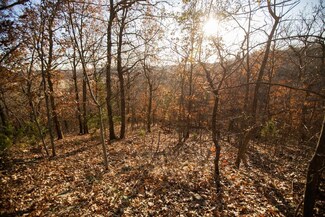 0 Nelson Rd Unit 2209105, Paris, KS 66014