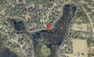 0 NE 114th Avenue Rd, Fort McCoy, FL 32134