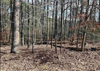 00 Cartaya Ln, Hot Springs Village, AR 71909