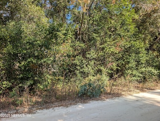 236 2nd Way, Interlachen, FL 32148