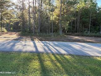 -0- Rayford Shumock Rd, Moss Point, MS 39562