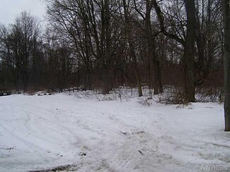V/L Freeman Rd, Royalton, NY 14105