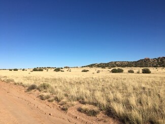 46 Big Fork Rd, Medanales, NM 87548