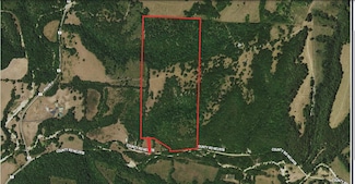 000 Thomas Hollow Rd, Rocky Comfort, MO 64861