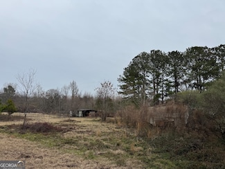 206 Gooseneck Ln, Hawkinsville, GA 31036