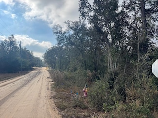 00 Lake Park St Tract 3, Douglas, GA 31533