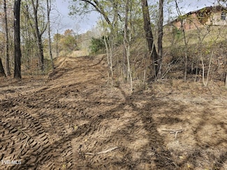 Tbd Blaine White Rd, Erwin, TN 37650