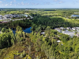 20007 Betel Palm Ln, Land O Lakes, FL 34638