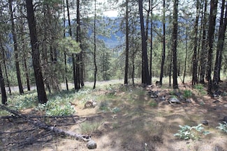 Badger 1 Sontag Ridge Dr, Davenport, WA 99122