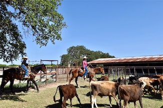 8228 N Us Highway 377, Rochelle, TX 76872