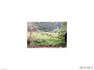 0 Bunnels Run Rd Unit M238315, Harrisville, WV 26362