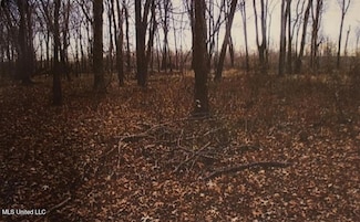 Lot 70 (Gravel) Blue Gill Rd, Vicksburg, MS 39183