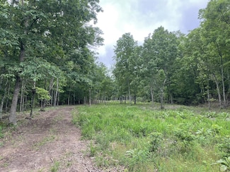 000 County Road 513a, Eminence, MO 65466