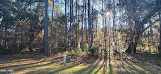 472 Chicora Ln, Yemassee, SC 29945