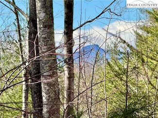 54.2 acres, Lot 837 High Valley Way, Lenoir, NC 28645