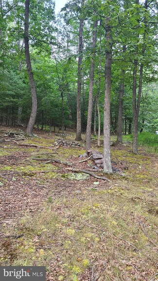 Lot #30 Kerns Dr, Upper Tract, WV 26866