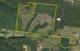 0 Scarborough Hollow Rd, Tennessee Ridge, TN 37178