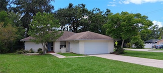 401 Fern Cliff Ave, Temple Terrace, FL 33617