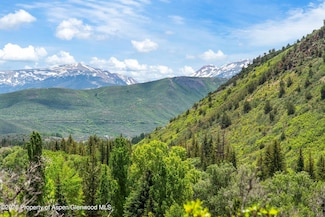 354 Snowmass Creek Rd, Snowmass, CO 81654