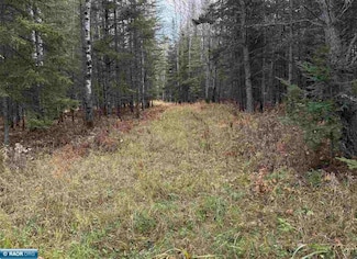 TBD Lane 55 County Road 341, Aurora, MN 55705