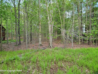 #1873 Mountain Glen Dr, Clifton Township, PA 18424