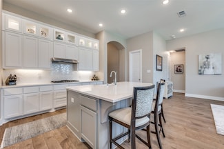 1704 White Snowberry Ln, Prosper, TX 75078