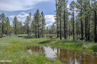 026/027 Birdsong Way, Lakeside, AZ 85929
